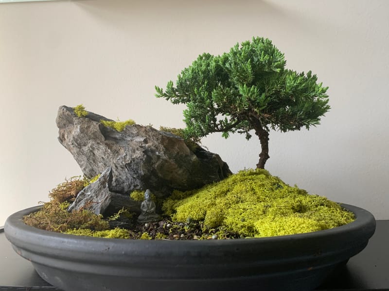 Bonsai Garden website